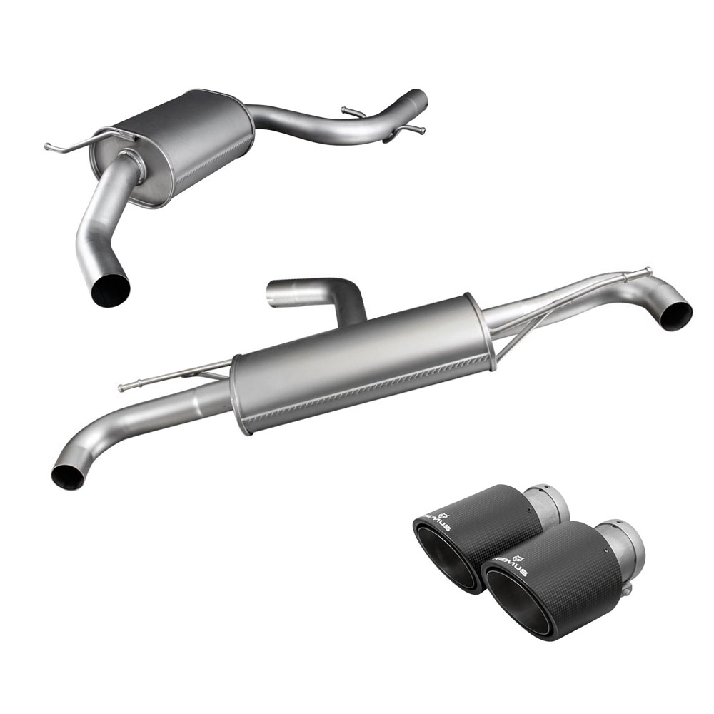 Image of Cat-Back Remus 102mm Carbon