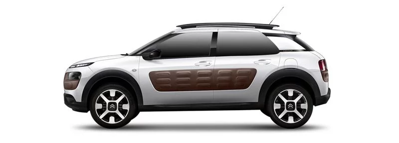 Citroën C4 II Fourgon/berline à hayon (NC_)