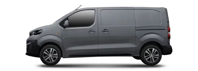 Peugeot Expert Camion plate-forme/Châssis (V_)