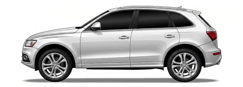 Audi Q5 Van (8RB)