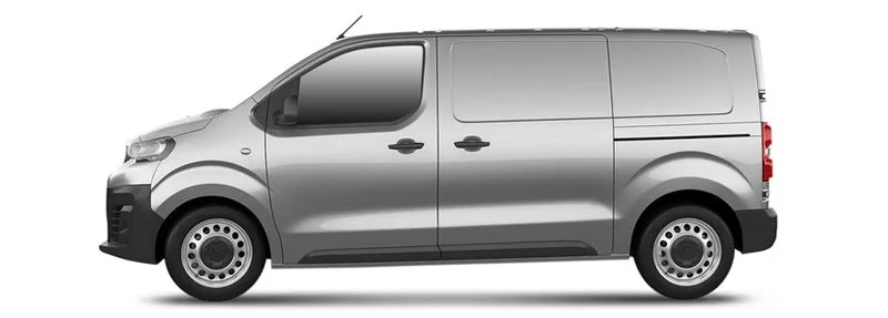 Peugeot Expert Camion plate-forme/Châssis (V_)