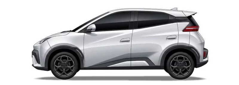 BYD Dolphin Surf