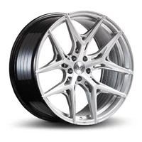 <h2>Barracuda RAZZER</h2>Hyper Silver