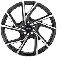 <h2>Platin P107</h2>D SCHWARZ FR.POL