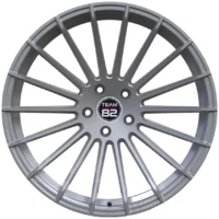 <h2>Team82 RS116</h2>SILVER