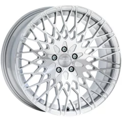 <h2>Aversus Lia</h2>SILBER POLIERT