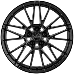 <h2>Aversus Raptor</h2>GLANZ SCHWARZ
