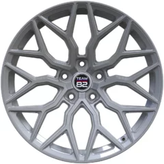 <h2>Team82 RS110</h2>SILVER