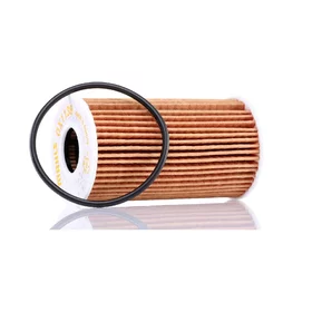 Olfilter Mahle 