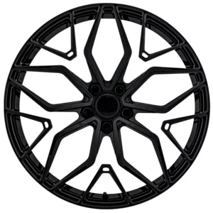 <h2>Aversus Tyran</h2>GLANZ SCHWARZ