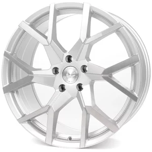 <h2>Barracuda TZUNAMEE EVO</h2>Silver brushed
