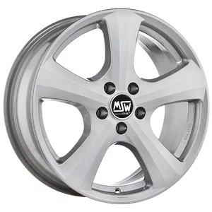 MSW 19 W - FULL SILVER