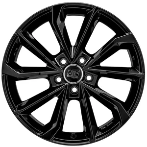 <h2>MSW 42</h2>GLOSS BLACK