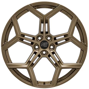 <h2>MSW 53</h2>RALLY BRONZE