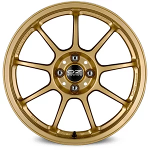 <h2>OZ ALLEGGERITA HLT</h2>RACE GOLD