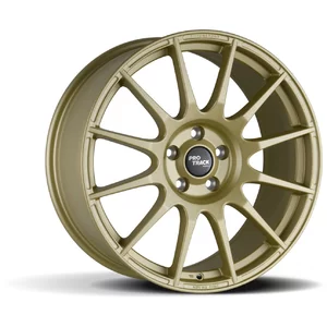 <h2>ProTrack ONE</h2>bronze matt