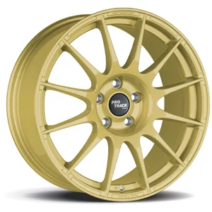 <h2>ProTrack ONE</h2>gold matt