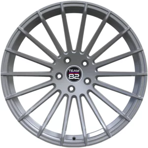 <h2>Team82 RS116</h2>SILVER