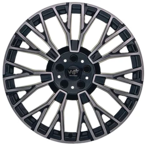 <h2>WP 005</h2>GLANZ SCHWARZ FRONTPOLIERT