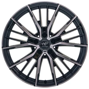 <h2>WP 356</h2>GLANZ SCHWARZ FRONTPOLIERT