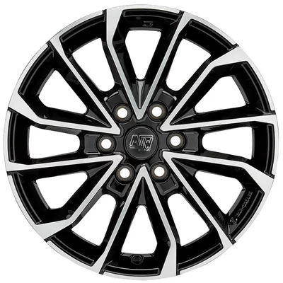 MSW 42 VAN