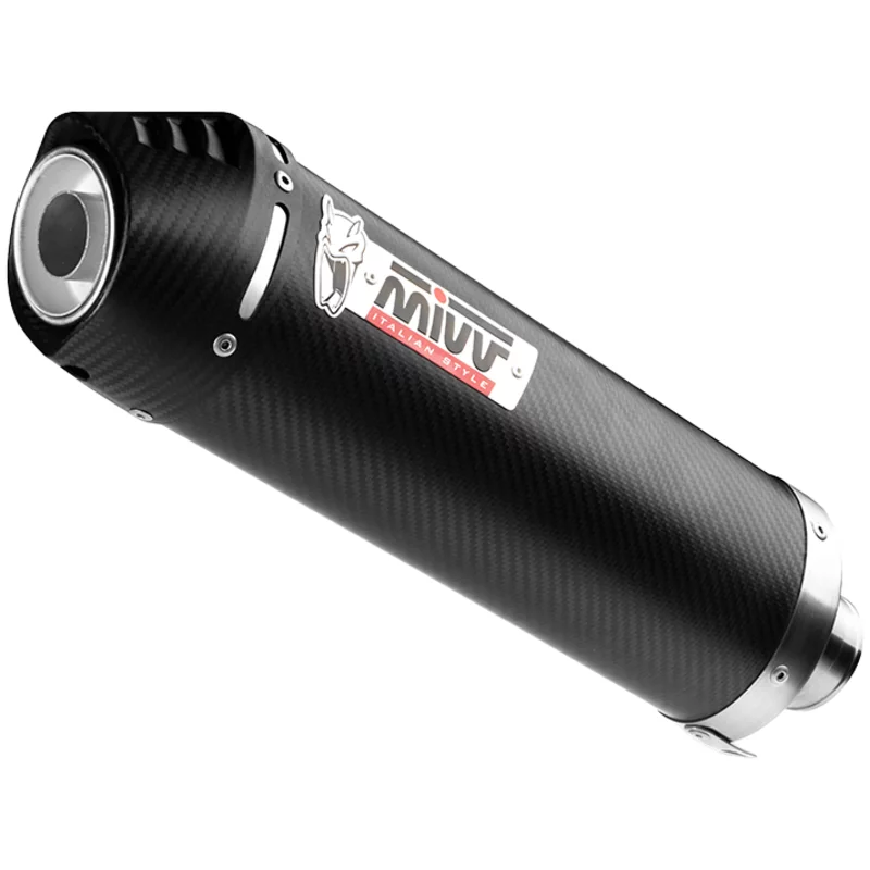 Image of Mivv Oval Carbone für BMW R 1250 R 1250 GS (1G13) 79kW 2022-