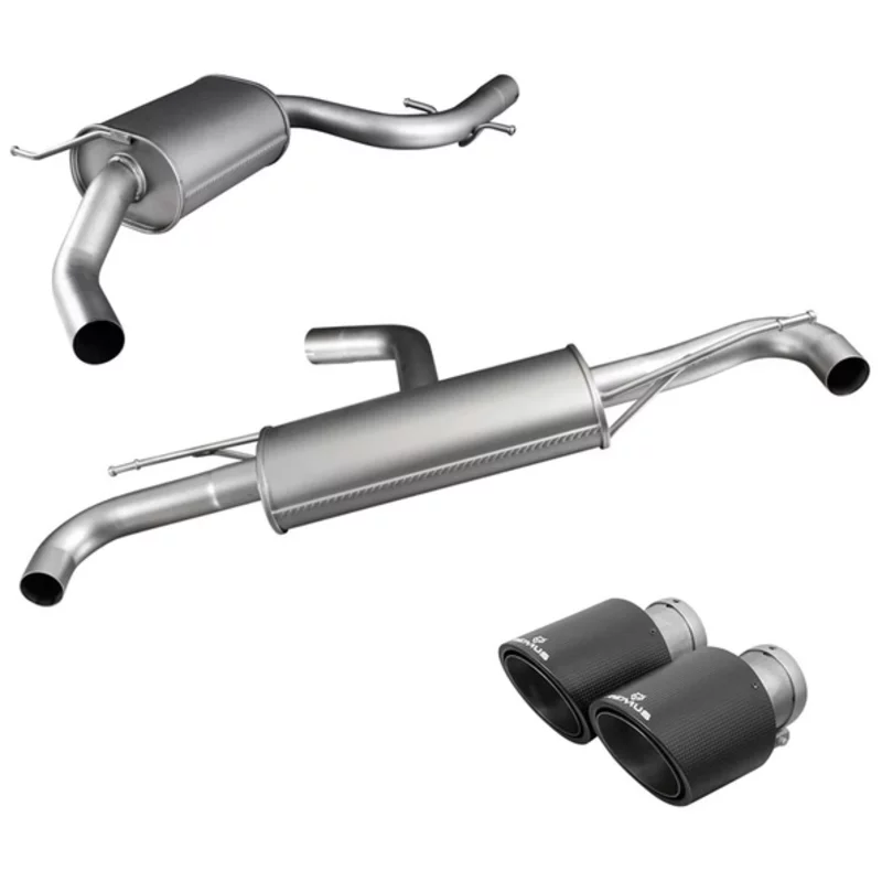 Image of Cat-Back Remus Carbon 102mm