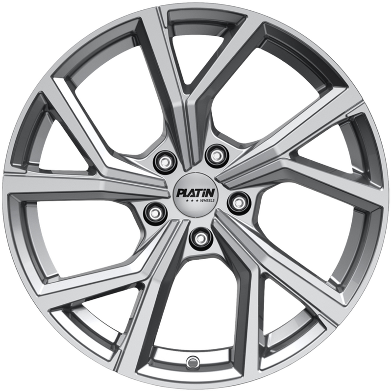 Platin P115 für AUDI A8 D3 (4E2, 4E8)  4.2 TDI quattro 326ps